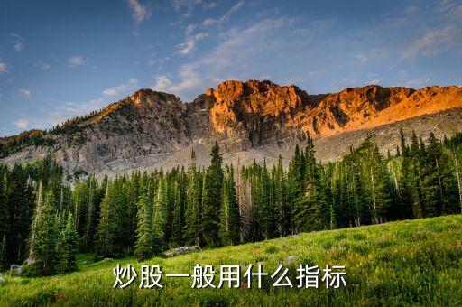 買股票看什么指標(biāo)好，股票哪個指標(biāo)最好用