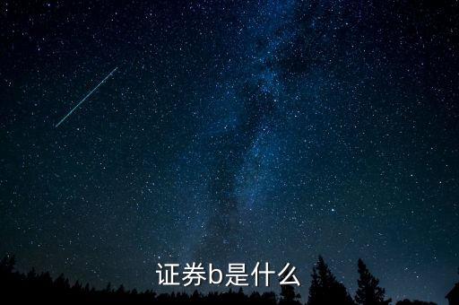 什么是b型證券營業(yè)部，股市中證券B是什么為什么份額突然會減少那么多