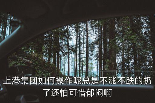 上港集團(tuán)什么級(jí)別，上港集團(tuán)振東集裝箱碼頭分公司的介紹