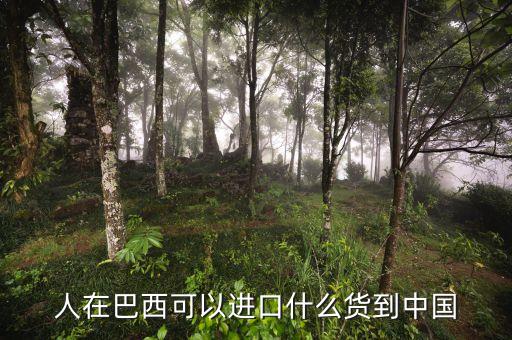 中國(guó)從巴西進(jìn)口什么，中國(guó)向巴西進(jìn)口哪些東西