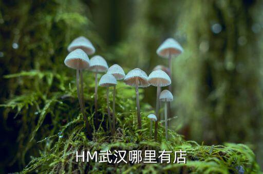 武漢禧h酒店什么時(shí)間開(kāi)業(yè)，武漢哪里有快開(kāi)張的酒店