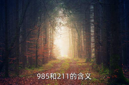 211和985什么意思，985和211的含義