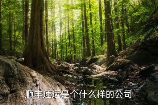 順豐速運算什么企業(yè)，順豐快遞是國企還是私企