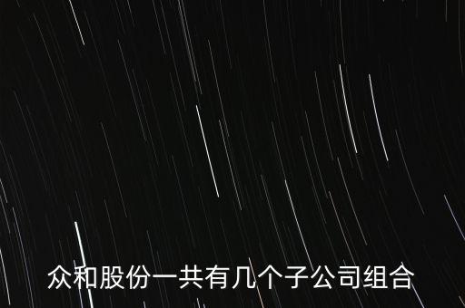 眾和股份收購什么資產(chǎn)，眾和股份一共有幾個(gè)子公司組合