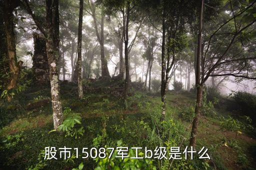 軍工b杠桿什么意思，國(guó)防B軍工B這些都是什么意思可以在領(lǐng)盈股票上買(mǎi)入嗎