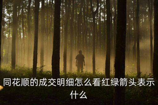 同花順的成交明細怎么看紅綠箭頭表示什么