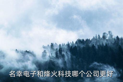 名幸電子和烽火科技哪個公司更好