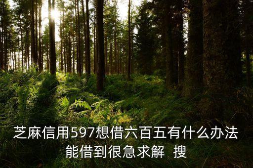 芝麻分597用什么能貸款，芝麻分597可以借款嗎
