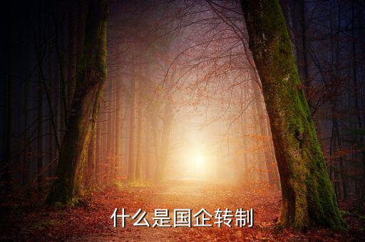 什么是國企改制，什么叫國企改制改制企業(yè)性質(zhì)沒變工商稅務(wù)都沒變更僅僅是廠