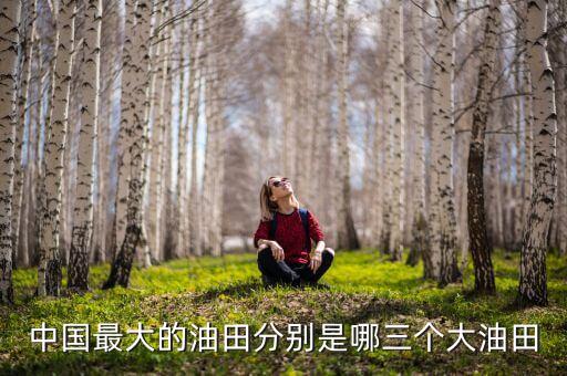 我國(guó)第二大油田是什么，您知道中國(guó)第二大油田是哪里嗎