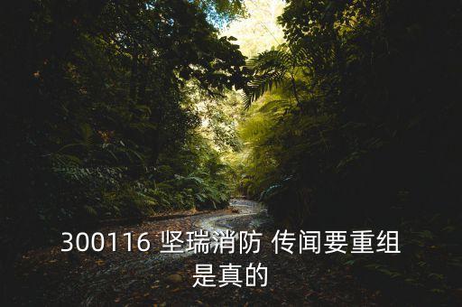 堅瑞消防什么新重大事項，300116 堅瑞消防 傳聞要重組是真的