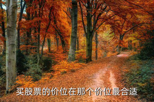 買股票的價位在那個價位最合適