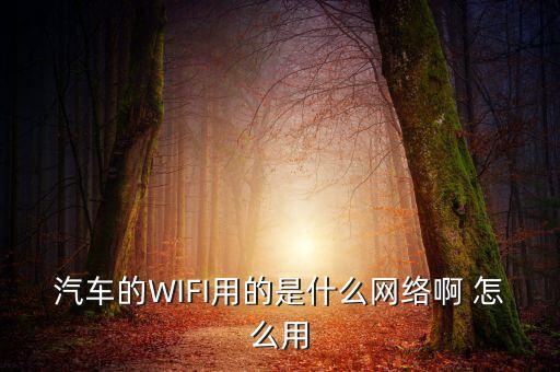 科特迪瓦用什么網(wǎng)絡(luò)，手機(jī)上Q用GPRS選擇什么網(wǎng)絡(luò)