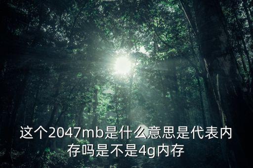2047代表什么意思，這個(gè)2047mb是什么意思是代表內(nèi)存嗎是不是4g內(nèi)存