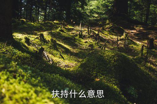 扶持力度什么意思，什么叫扶持扶持是不是等于給予呢