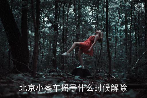 北京小客車搖號什么時候解除