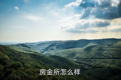 房金所怎么樣