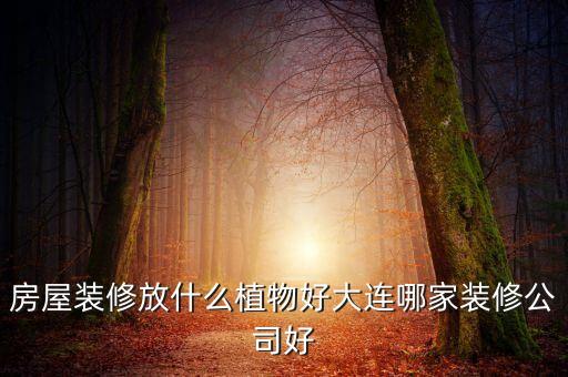 002713什么時(shí)候開盤，東易日盛股票2015年最高價(jià)是多