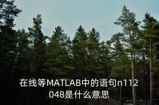 在線等MATLAB中的語(yǔ)句n112048是什么意思