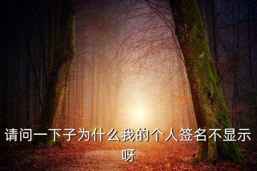 飛貸為什么簽名沒反應(yīng)，為什么我的簽名不顯示了呢