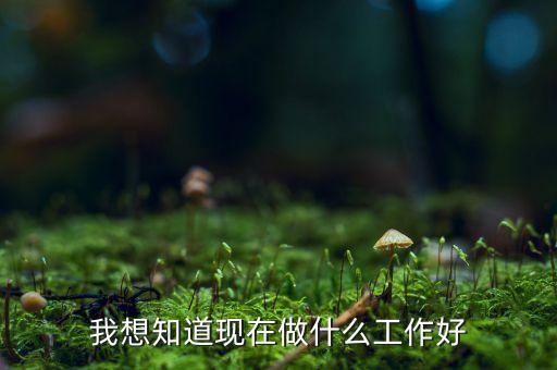 薄望知現(xiàn)在干什么工作，我想知道現(xiàn)在做什么工作好