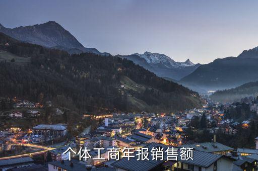 年報(bào)銷售總額是什么，全年銷售營業(yè)收入 全年利潤總額 全年虧損額 年末負(fù)