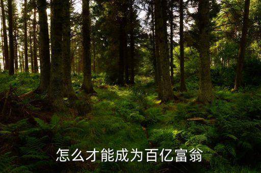 拿什么沖百億，怎么才能成為百億富翁