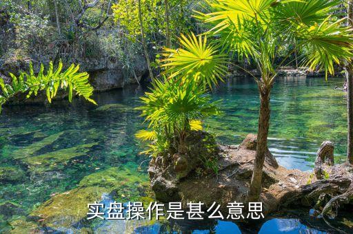 外匯實(shí)盤是什么，實(shí)盤操作是甚么意思