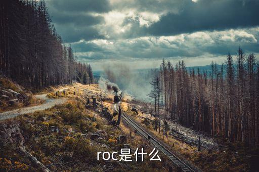 roc是什么指標(biāo)，ROC指標(biāo)指什么