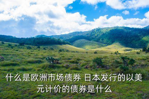 什么是歐洲市場債券 日本發(fā)行的以美元計價的債券是什么