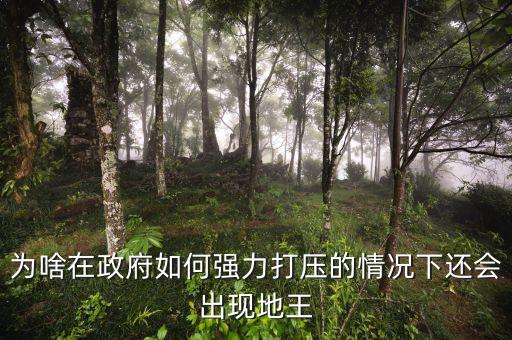 2016年為什么地王頻出，地王頻現(xiàn)傳遞什么信號