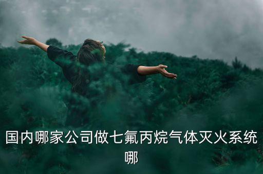 國內(nèi)哪家公司做七氟丙烷氣體滅火系統(tǒng)哪