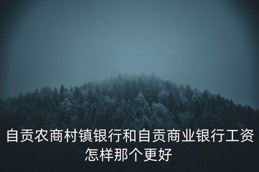 自貢農商村鎮(zhèn)銀行和自貢商業(yè)銀行工資怎樣那個更好