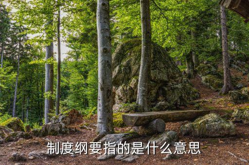 什么是公司綱要，制度綱要指的是什么意思