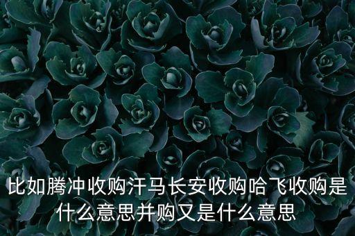 長安為什么收購哈飛，比如騰沖收購汗馬長安收購哈飛收購是什么意思并購又是什么意思