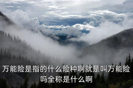 萬能險是指的什么險種啊就是叫萬能險嗎全稱是什么啊