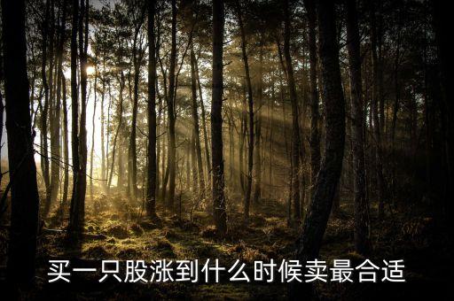 股票漲了什么時(shí)候能賣(mài)，股票創(chuàng)新高后什么時(shí)候賣(mài)出