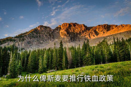 什么是鐵血政策，鐵血政策鐵和血分別指什么