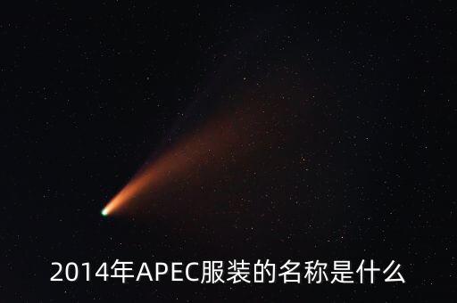 apec穿什么，apec會議在中國開過幾次當時的首腦會議穿的是什么服裝