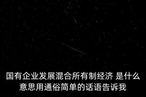 什么是國企混合所有制，國有企業(yè)發(fā)展混合所有制經濟 是什么意思用通俗簡單的話語告訴我