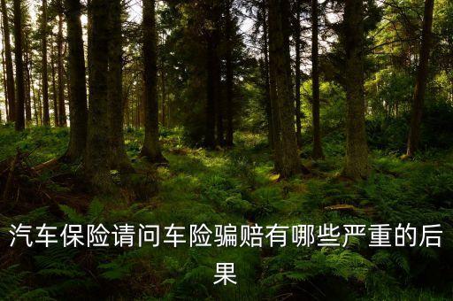 汽車保險(xiǎn)請(qǐng)問車險(xiǎn)騙賠有哪些嚴(yán)重的后果