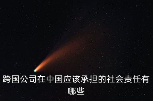 什么是境外上市公司的社會責(zé)任，上市公司 社會責(zé)任