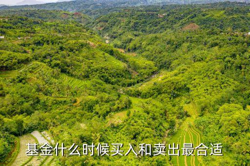 基金什么時候買入和賣出最合適