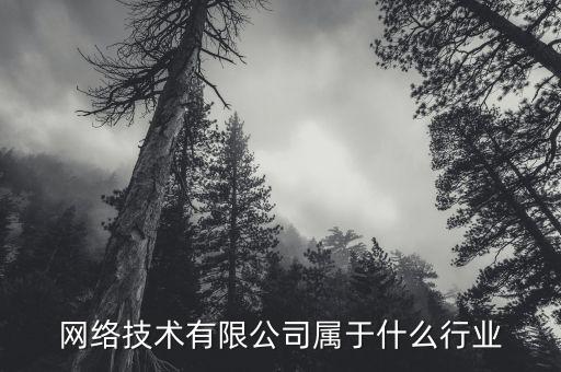 網絡屬于什么行業(yè)，網絡技術有限公司屬于什么行業(yè)