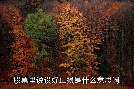 股票里止損是什么意思，股票里說設(shè)好止損是什么意思啊