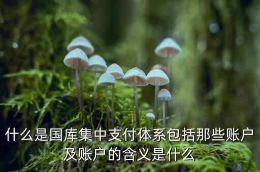 什么叫國庫，什么是國庫券最好能解釋得通俗易懂