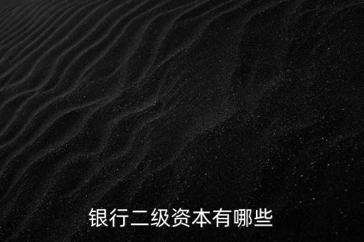 銀行二級資本有哪些