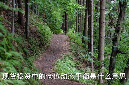 什么叫堅(jiān)持投資的動(dòng)態(tài)平衡，什么是動(dòng)態(tài)平衡有哪些特點(diǎn)