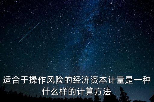 適合于操作風(fēng)險的經(jīng)濟(jì)資本計量是一種什么樣的計算方法