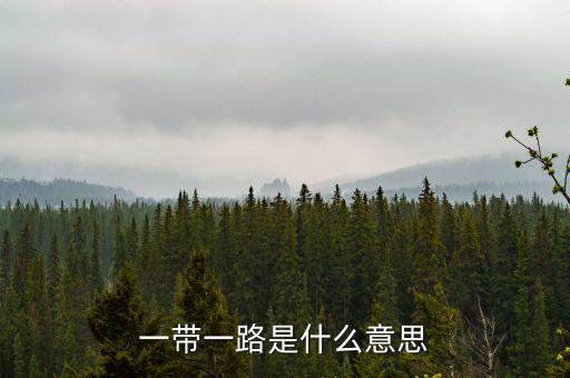 一帶一路指什么，一帶一路指什么意思